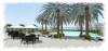 Pool Deck