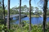 DSC4364.jpg