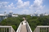 DSC5406.jpg