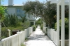 DSC5415.jpg