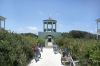 DSC5437.jpg